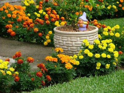 Curso de Jardinagem Online
